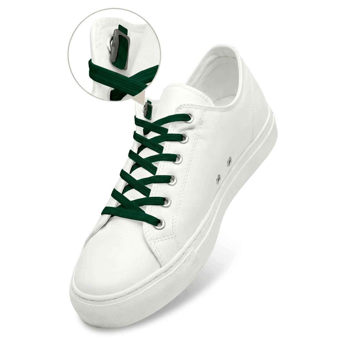 
              forestgreen