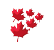 <p>Free Shipping to Canada on orders over $30</p>